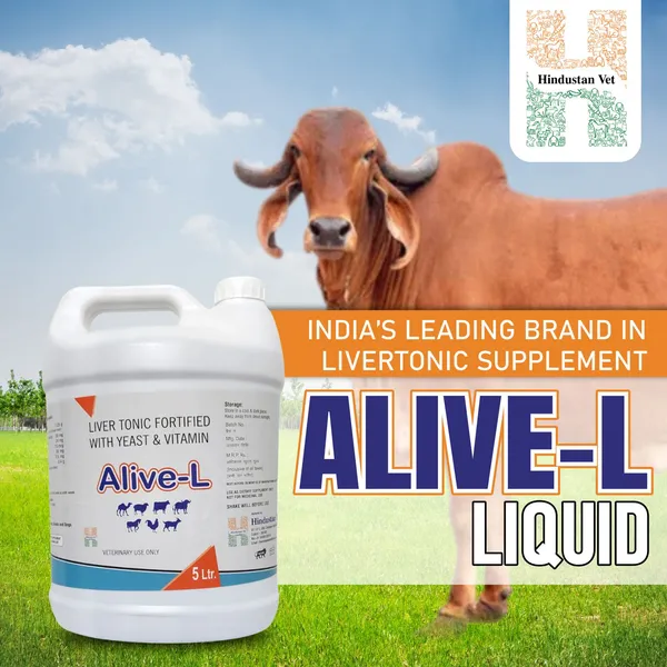 ALIVE_L_Liver_Tonic_Tified_With_Yeast_And_Vitamin_For_Cow/Buffalo/Sheep/Goat/Poultry/Horse/Fish/Dog/Cat
