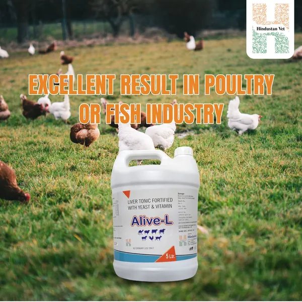 Alive_-_L_Liver_Tonic_Tified_With_Yeast_And_Vitamin_For_Cow/Buffalo/Sheep/Goat/Poultry/Horse/Fish/Dog/Cat
