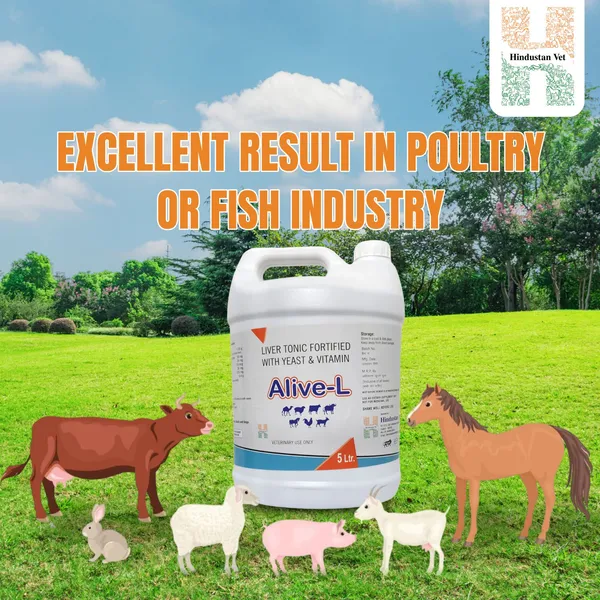 ALIVE_L_Liver_Tonic_Tified_With_Yeast_And_Vitamin_For_Cow/Buffalo/Sheep/Goat/Poultry/Horse/Fish/Dog/Cat