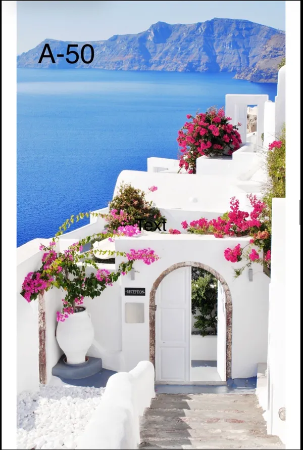 Digital_Printed_Backdrop