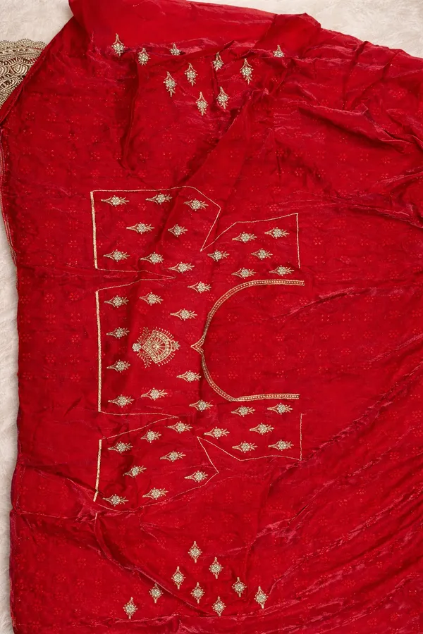 Red_Bridal_Embroidered_Saree_With_Golden_Zari_Work_And_Unstitched_Blouse_Piece