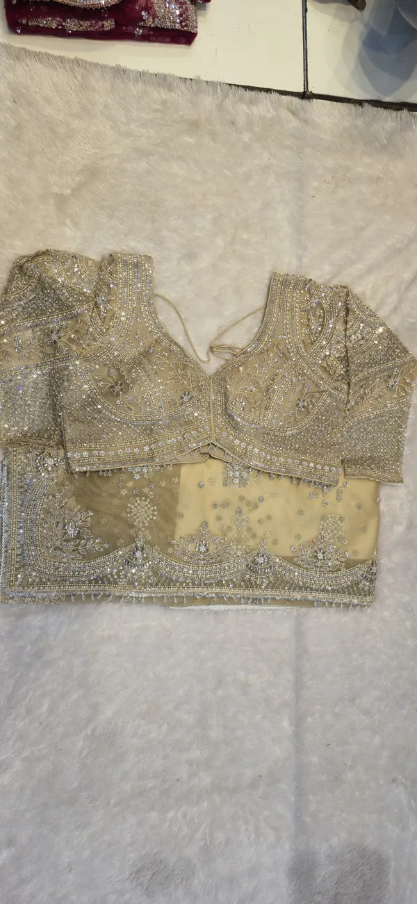 Beige_Embellished_Blouse_With_Saree_Ethnic_Wear_For_Women