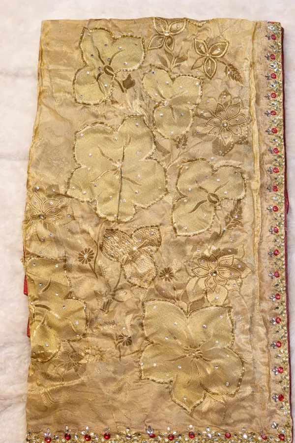 Golden_Beige_Embroidered_Saree_With_Embellished_Border