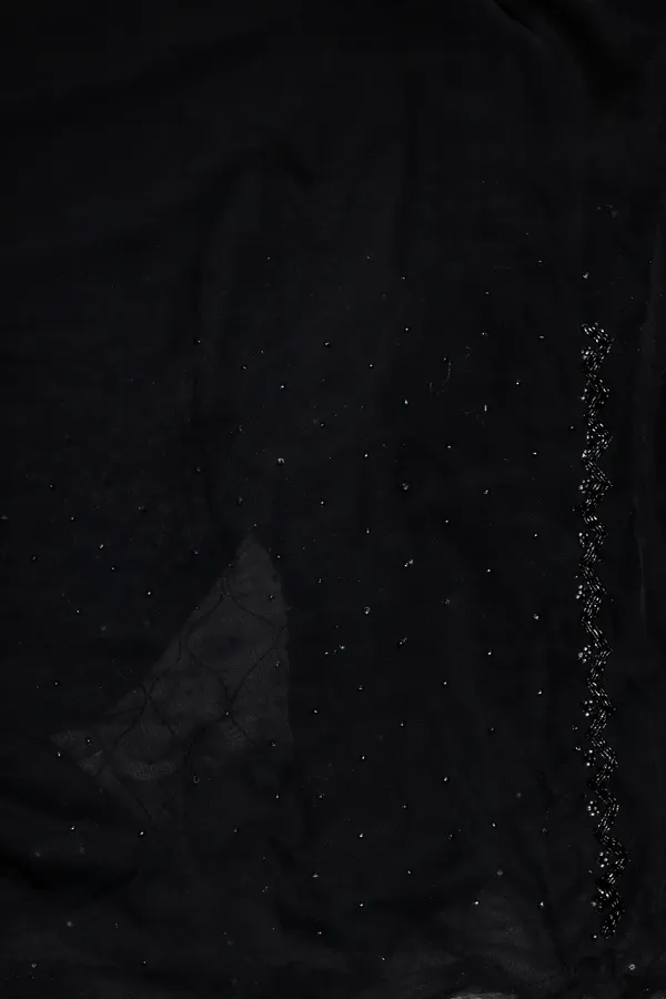 Black_Net_Saree_With_Embellished_Border_And_Sequin_Work