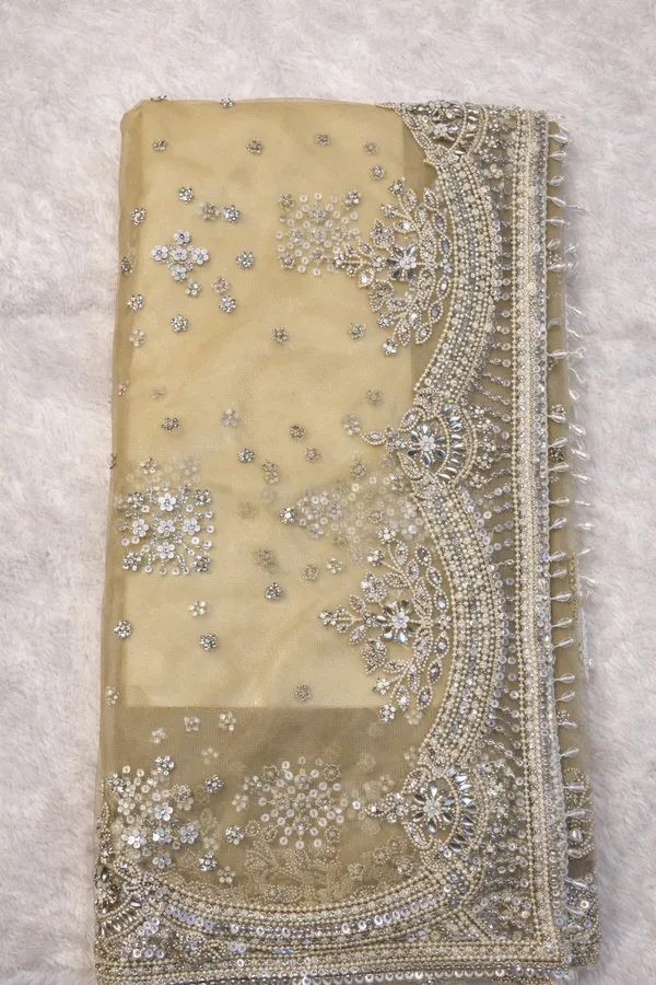 Beige_Embellished_Blouse_With_Saree_Ethnic_Wear_For_Women