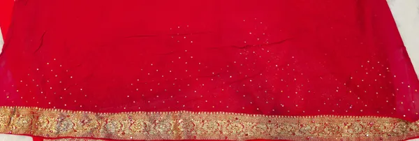 Red_Georgette_Sequin_Work_Saree_With_Golden_Zari_Border