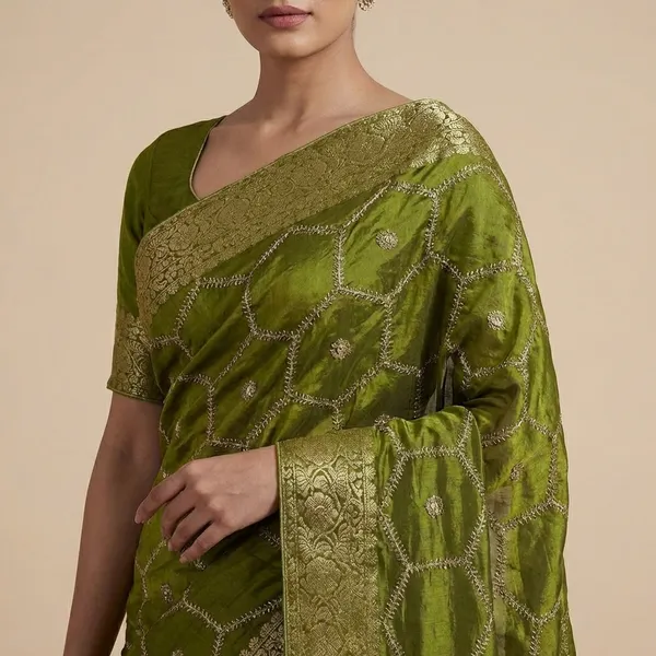 Elegant_Olive_Green_Velvet_Saree_With_Silver_Embroidery