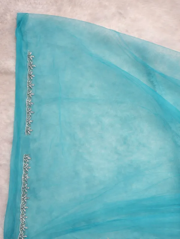 Turquoise_Blue_Embellished_Organza_Saree_With_Silver_Sequin_Work