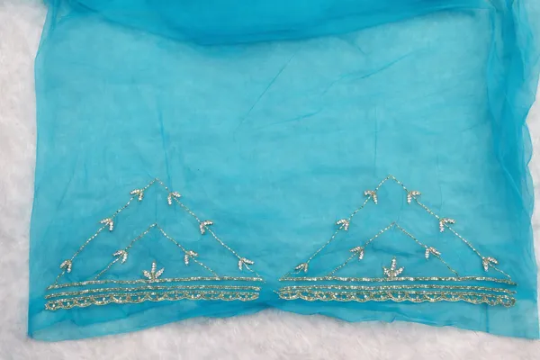 Turquoise_Embellished_Net_Saree_With_Golden_Floral_Work_And_Border