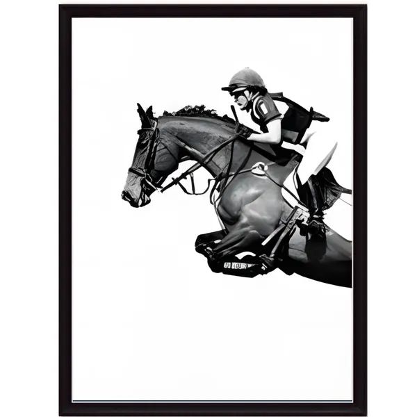 Black_and_White_Horse_Jumping_Wall_Art,_Set_of_2_Framed_Prints,_Equestrian_Theme,_A3+_Size