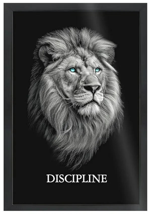 Motivational_Wall_Art_Set_of_3,_A3+_Black_Framed_Posters,_Lion_Wolf_Eagle,_Discipline_Execution_Focus_Theme
