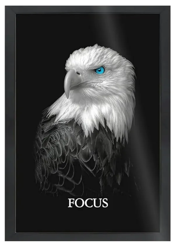 Motivational_Wall_Art_Set_of_3,_A3+_Black_Framed_Posters,_Lion_Wolf_Eagle,_Discipline_Execution_Focus_Theme