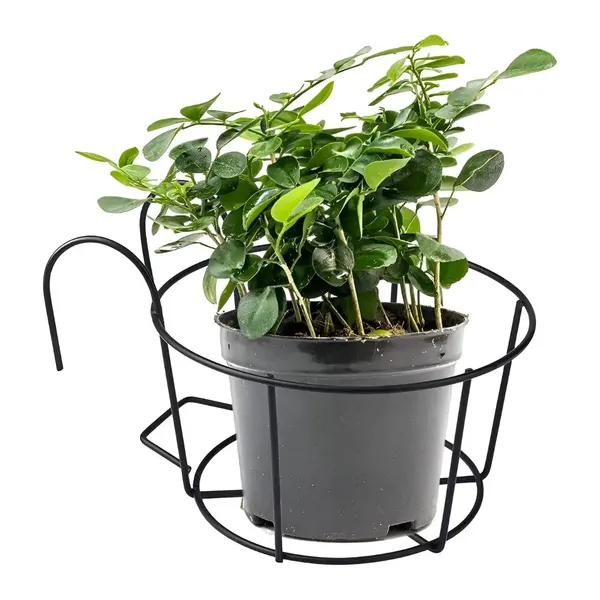 Metal_Hanging_Basket_Plant_Stand_Multi_Purpose_Use