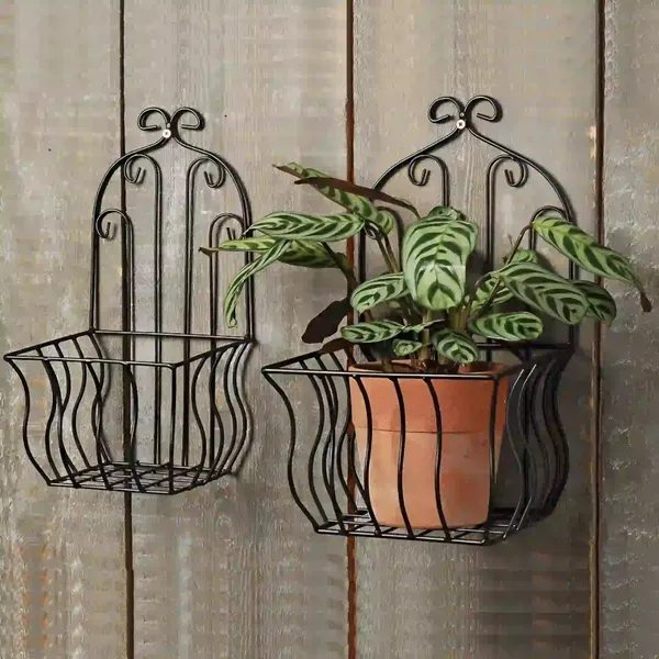 French_Country_Wall_Baskets_Crested_Arabesque_Curled_Iron_Plant_Holders