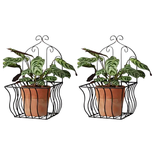 French_Country_Wall_Baskets_Crested_Arabesque_Curled_Iron_Plant_Holders