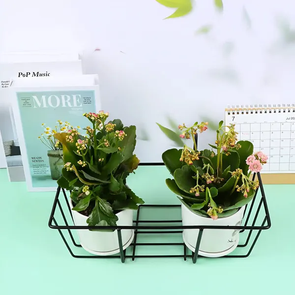 Decorum_Iron_Hanging_Flower_Box_Holder_Railing_Planter_Pot_Bracket