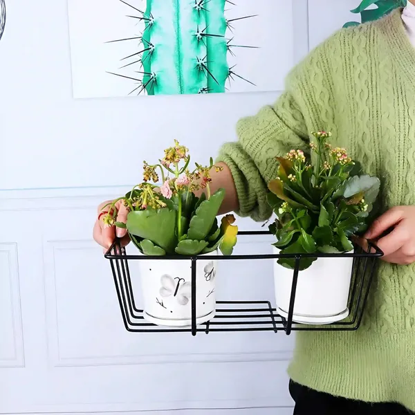 Decorum_Iron_Hanging_Flower_Box_Holder_Railing_Planter_Pot_Bracket