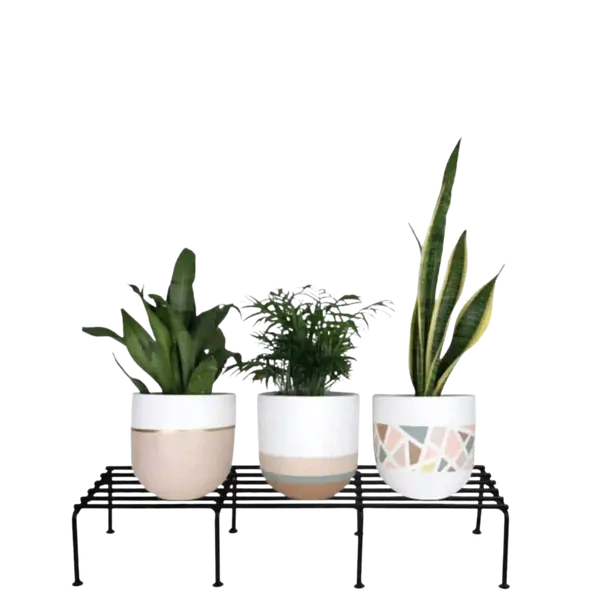 Rectangular_Rust_Proof_Metal_Plant_Stand