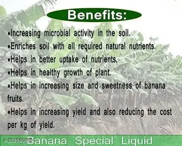 Banana_Special
