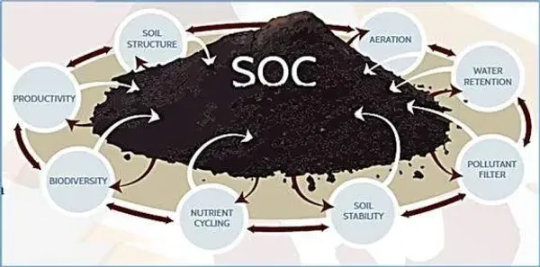 Organic_Carbon