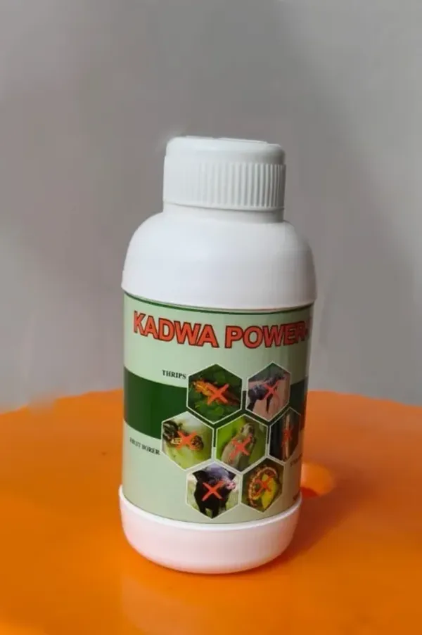 Kadwa_Power