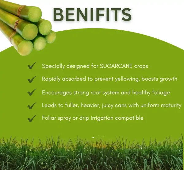Sugarcane_Special