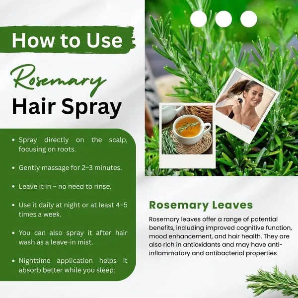 Natural_And_Healthy_Rosemary_Dried_Leaves_100_G
