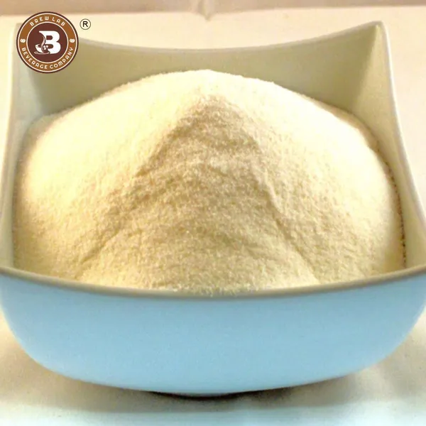 No_Onion_No_Garlic_Aromat_Seasoning_|_Ideal_For_Jain_Food_|_Flavor_Enhancer_|_250_G