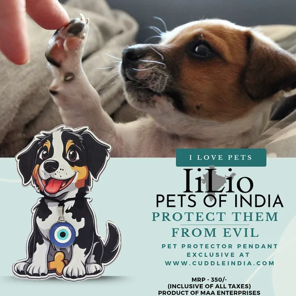 Evil_Eye_Pendant_For_Pets_Because_Your_Pet_Deserves_Love_Luck_And_Protection