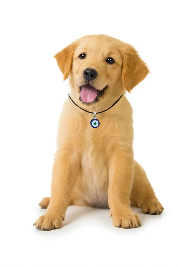 Evil_Eye_Pendant_For_Pets_Because_Your_Pet_Deserves_Love_Luck_And_Protection