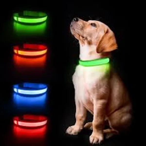 Pet_Led_Collar_Glow_In_Dark