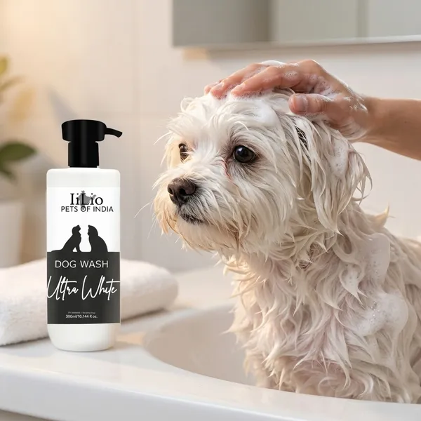 Ultra_White_Dog_Wash