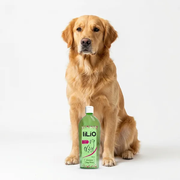Ilio_Aloe_Vera_Dog_Shampoo_Soothing_Rashes_And_Itching