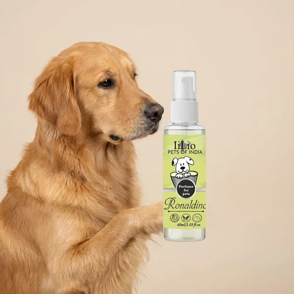 Ilio_Pet_Perfume_A_Fresh_Scent_For_Your_Furry_Friend_Ronaldinho_Incognito