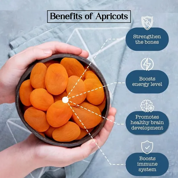 Premium_Dried_Apricots_-_Sweet_And_Nutritious_Snack