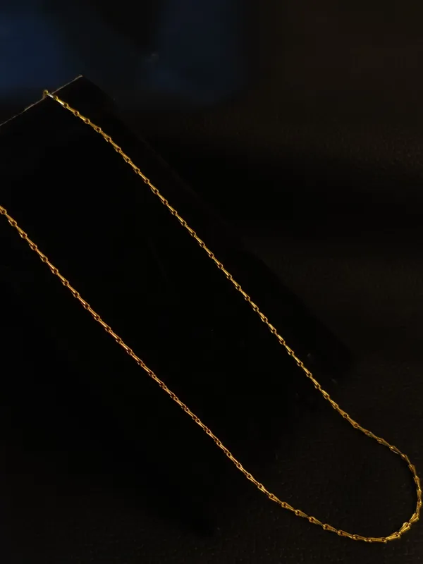 Elegant_Gold_Toned_Chain_Necklace