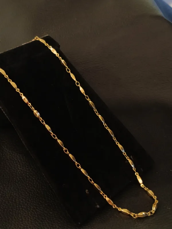 Elegant_Gold_Toned_Chain_Necklace_For_Women