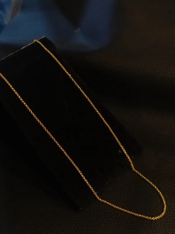 Elegant_Gold_Plated_Chain_Necklace