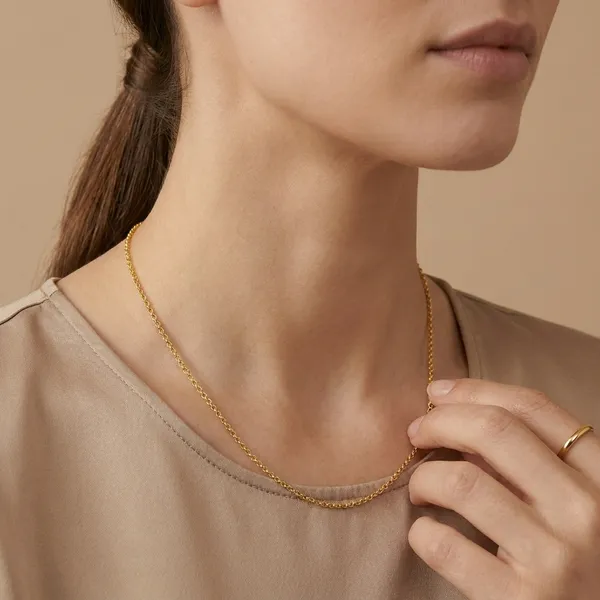 Elegant_Gold_Plated_Chain_Necklace