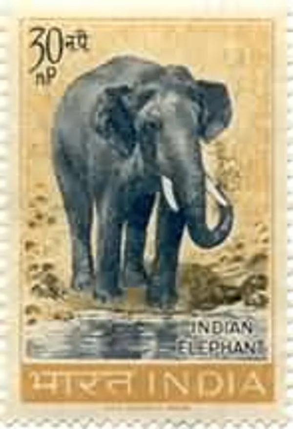 India_-_07_Oct_1963_Wildlife_Preservation_Bos_gaurus_(Gaur_/_Wild_Ox),_Ailurus_fulgens_(Red_Panda_/_Himalayan_Panda),_Elephas_maximus_indicus_(Indian_Elephant),_Panthera_tigris_(Tiger),_Panthera_Leo_persica_(Indian_Lion)_(SBR)_-_Stamp_-_MNH_-_Pack_of_3