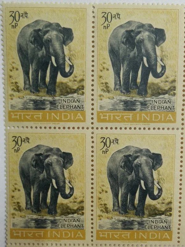 India_-_07_Oct_1963_Wildlife_Preservation_Elephant,_Wild_Animal,_Indian_Elephant,_Elephas_maximus_indicus,_30_np_(Block_of_4_Stamp)_-_MNH