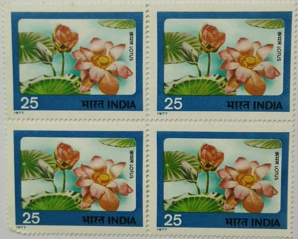 India_-_1977_-_Indian_Flowers_-_Lotus._Flower,_Padma,_Nelumbo_nucifera,_Horticulture,_Botany,_(Block_of_4_stamp)_-_MNH_(Face_value:_25_paise_per_stamp)_-_Pack_of_2
