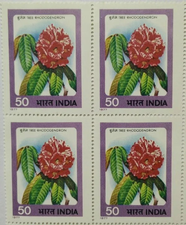 India_-_1977_-_Indian_Flowers_-_Rhododendron._Flower,_Horticulture,_Botany,_50_P._(Block_of_4_stamp)_-_MNH