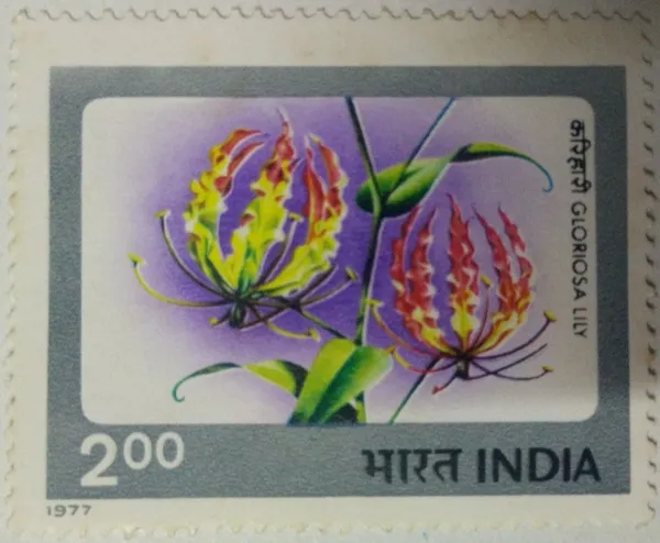 India_-_1977_-_Indian_Flowers_-_Gloriosa_Lily._Flower,_Horticulture,_Botany,_-_Pack_of_2