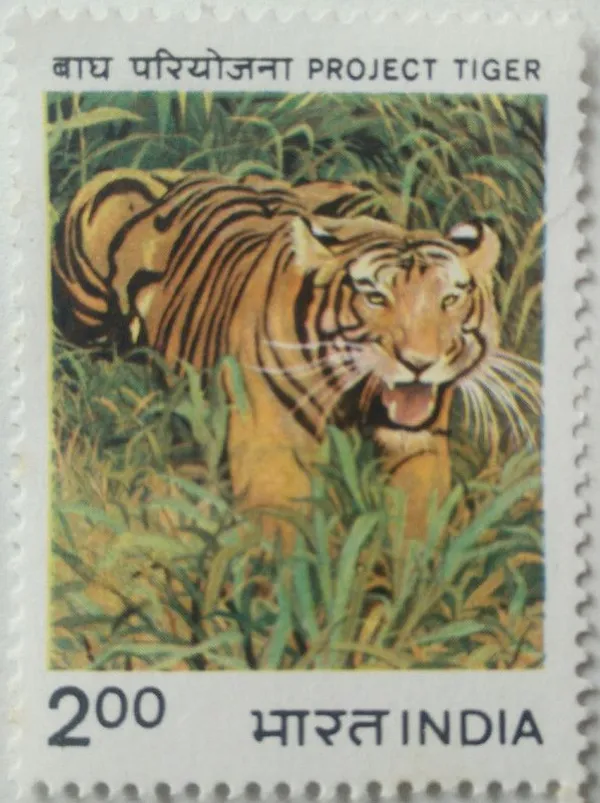 India_-_1983_-_Project_Tiger,_Wild_Animal,_Panthera_Tigris,_Protection_Project,_MNH_Stamp_-_Pack_of_3