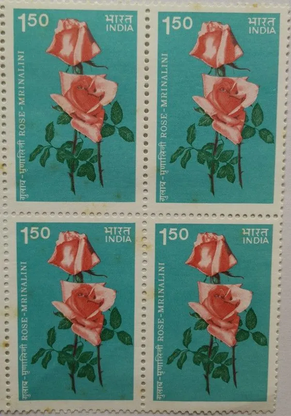India_-_1984_-_Indian_Roses_-_Mrinalini._Rose,_Flower,_Botany,_Hybrid_Rose_(Block_of_4_stamp)_-_MNH