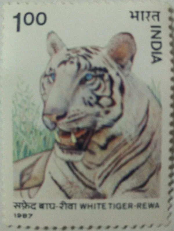 India_-_1987_-_Wild_life,_White_Tiger_-_MNH_Stamp__-_Pack_of_2