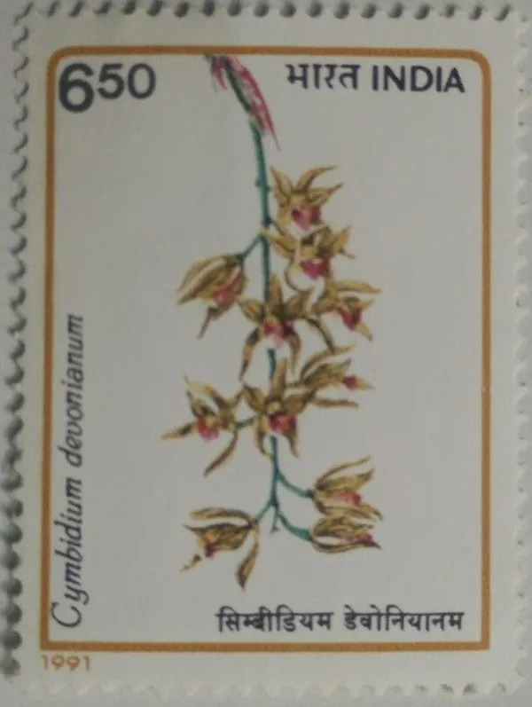 India_-_1991_-_Orchids_Of_India_Orchid,_Flowering_Plant,_Cymbidium_Devonianum,_Boat_Orchids_-_MNH_Stamp