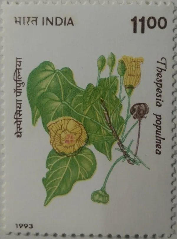 India_-_1993_-_Indian_Flowering_Trees,_Paras-Pipal,_The_Indian_Tulip_Tree_-_MNH_Stamp