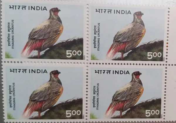 India_-_1996_-_Himalayan_cruentus,_Blood_pheasant_(Block_of_4_stamp)_-_MNH